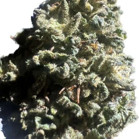 Ripkitty Premium Lifter CBD Hemp Flowers